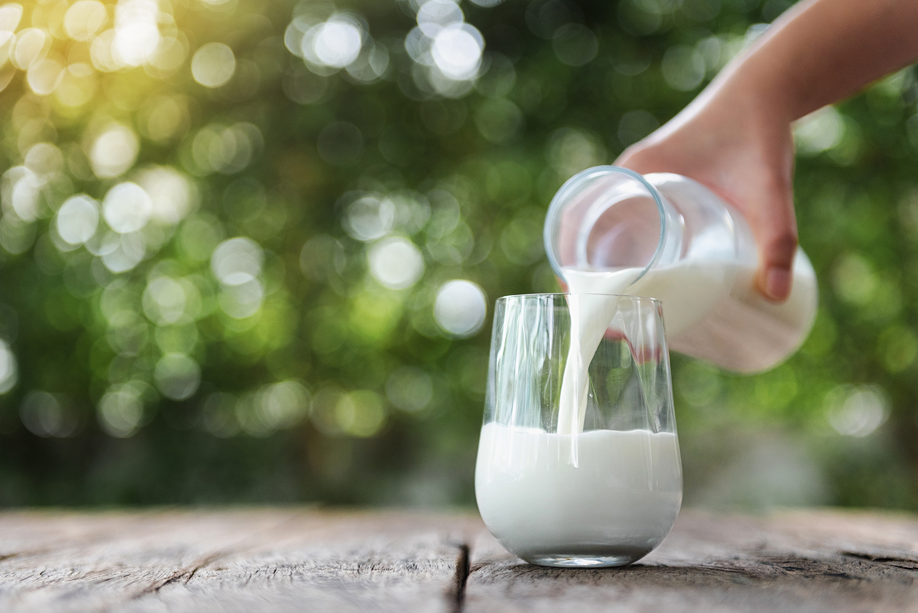 Goat Milk for a Cow Milk Protein Allergy